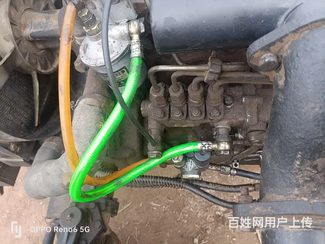 大朋王 - 图片 10