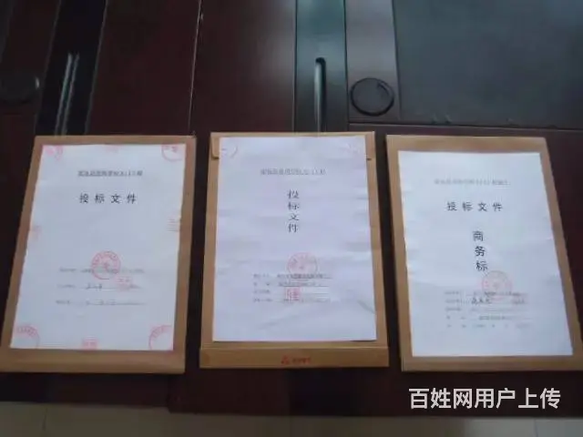 【搞定了！】长沙标书审核，专业审定，排除废标点 - 图片 1