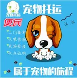 常州到宠物托运 宠物狗猫托运服务 - 图片 1