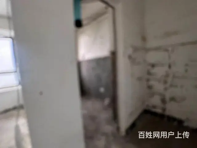 下沙江滨无税550.00万元259.43平精装修多层[1-7 - 图片 4