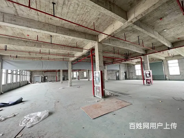 董浜全新厂房1至4楼4000平，高8米，有吊装平台，环氧地坪 - 图片 9