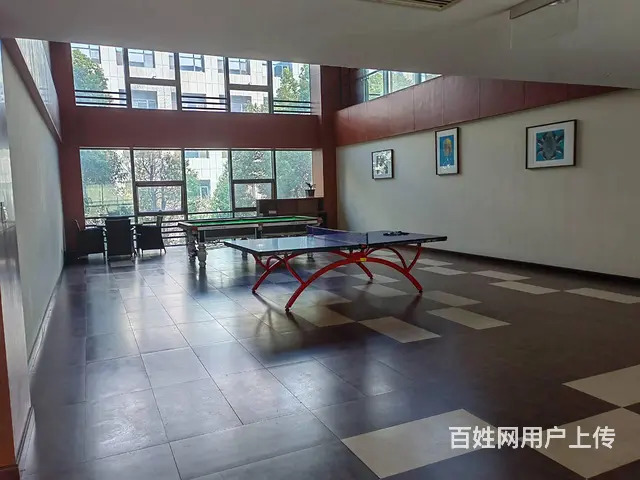 吉田商务广场60平先不管出租 - 图片 6