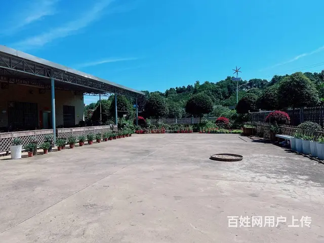 （老板本人）跳马镇独门独院农家乐/民宿/私人会所/房屋出租 - 图片 2