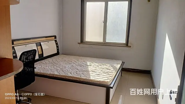 渤船家园一期出租 - 图片 6