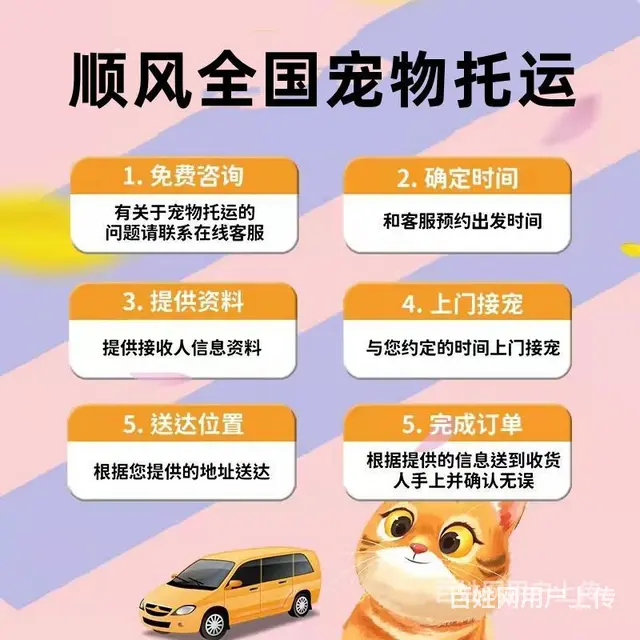 推荐）常州市到全国）宠物托运（猫狗）邮寄快递（宠物活体运输） - 图片 3