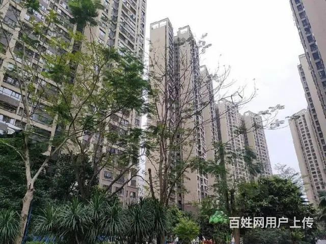 滨海大道商圈   绿地海德公馆3房 - 图片 10