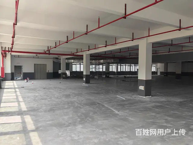 万洋众创城厂房出租一楼二楼 - 图片 3