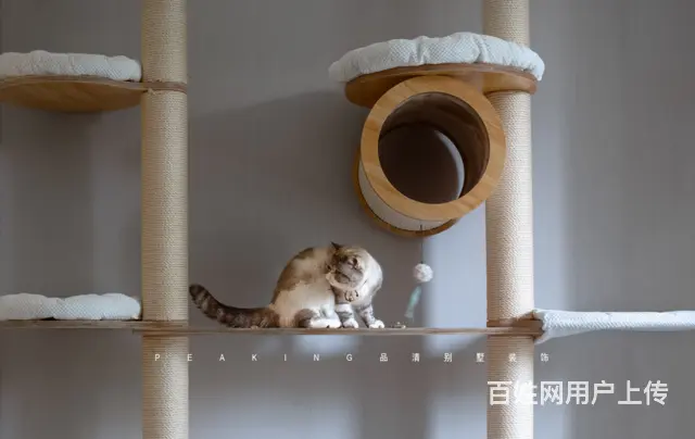 363㎡简美设计——看得见内心的花园别墅 - 图片 5
