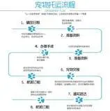 常州便民宠物托运 全国各地宠物托运服务安全放心 - 图片 4