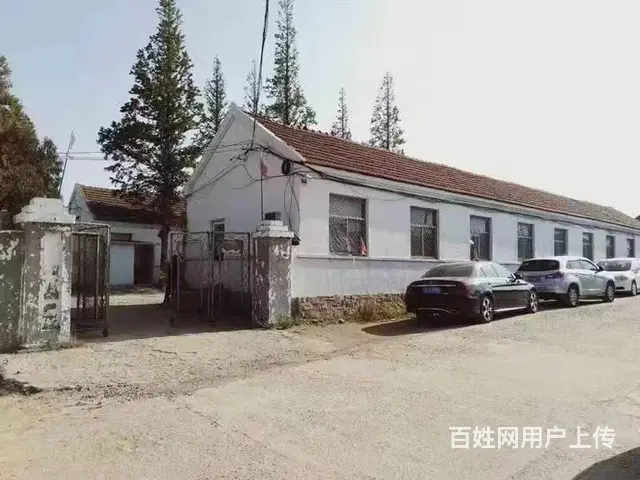 （创美）张村前双岛纯一层150平厂房出租 - 图片 3