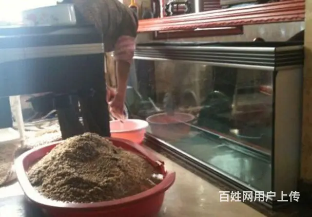 水簇服务 鱼缸换水清洗 鱼缸维修保养 - 图片 9