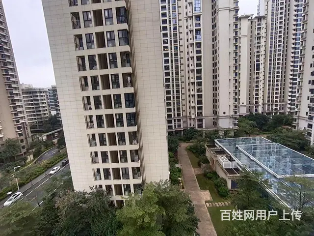 横琴 荔枝湾 精装3房 干净整洁 拎包入住 - 图片 12