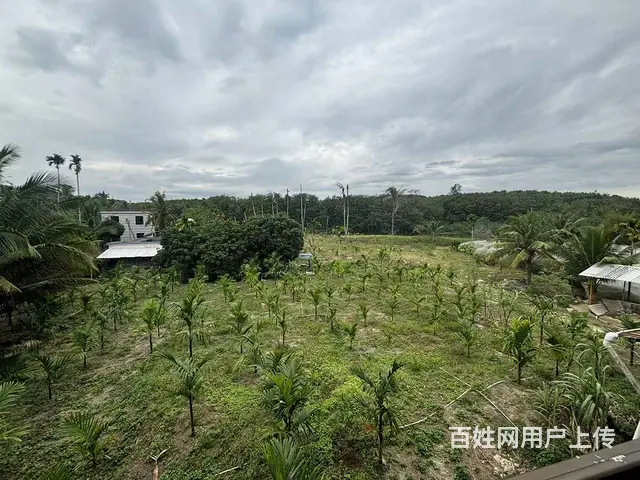 （51旺铺推荐）陵水700平独栋房子出售或出租 - 图片 6