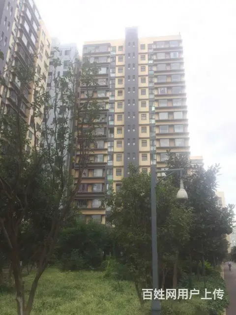 星耀地铁旁 星泽园2房 精装修 端头房 有钥匙 三 - 图片 11
