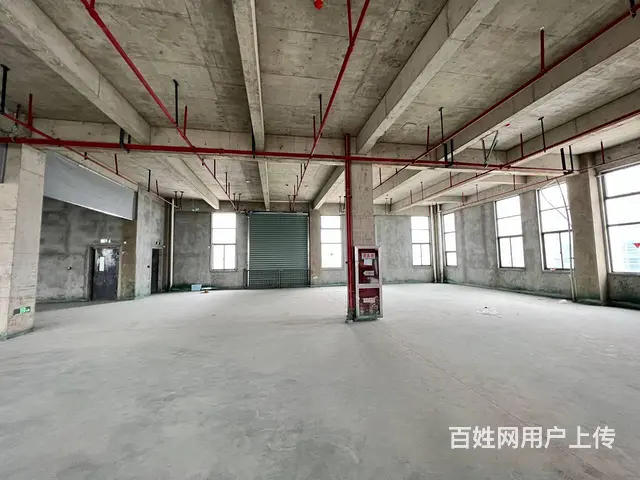 董浜全新厂房1至4楼4000平，高8米，有吊装平台，环氧地坪 - 图片 7