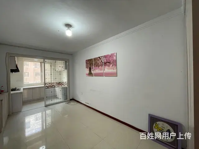 中华园车库上二楼45平阴阳格局，中等装修，中税t可 - 图片 6