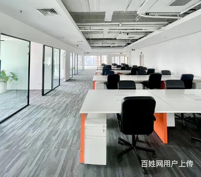 成都银泰城高新区天府四街精装20+200工位出租 - 图片 6