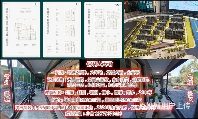 D铁口天宁红梅主芯保利天珺洋墅双公园火车站精装均26000起 - 图片 10