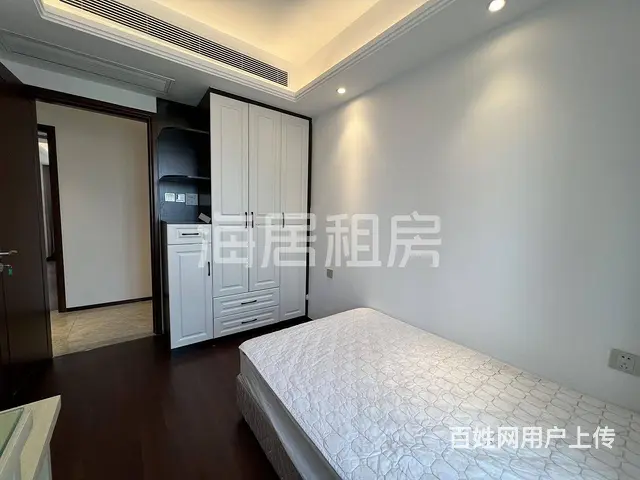 武汉站旁 东湖边 近东湖天屿 湖北日报 岳家嘴 徐 - 图片 9
