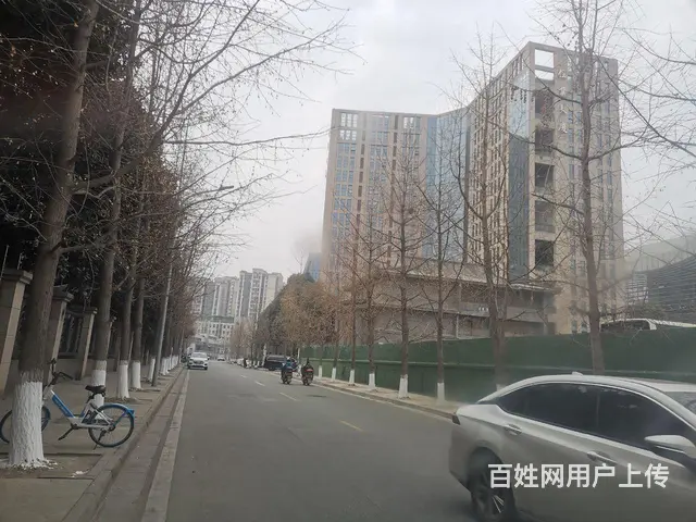 崇州汽车挡风玻璃可以快速修补 - 图片 2