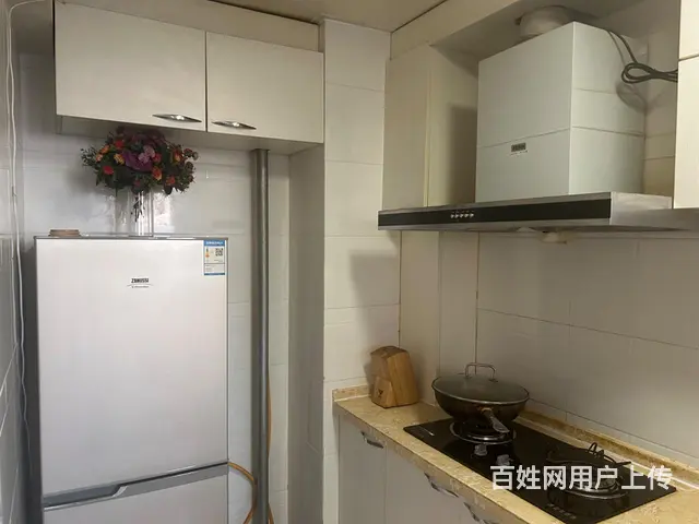 拒绝宠物，非诚勿扰。 - 图片 7
