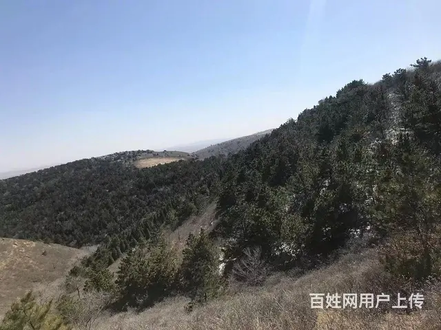 山林出售出租 - 图片 9