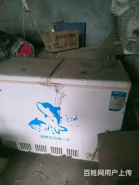 狗用品 - 图片 3