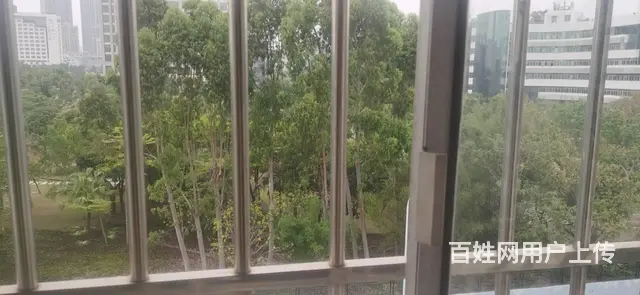 新加坡花园 普通住宅 中等装修 - 图片 10