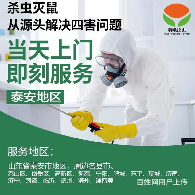 泰山区消灭小黄家蚁晨曦控虫消杀公司 - 图片 2