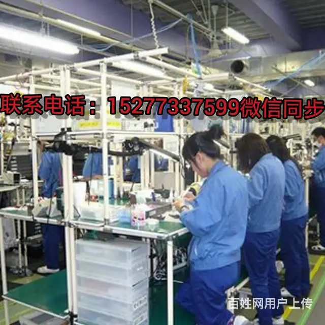 招多种职位/正规国外劳务 - 图片 4