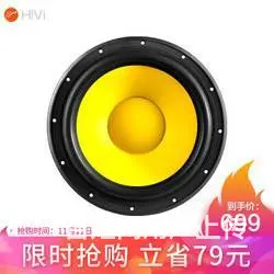99新HiVi 惠威 D10G 中低音喇叭一对 - 图片 1