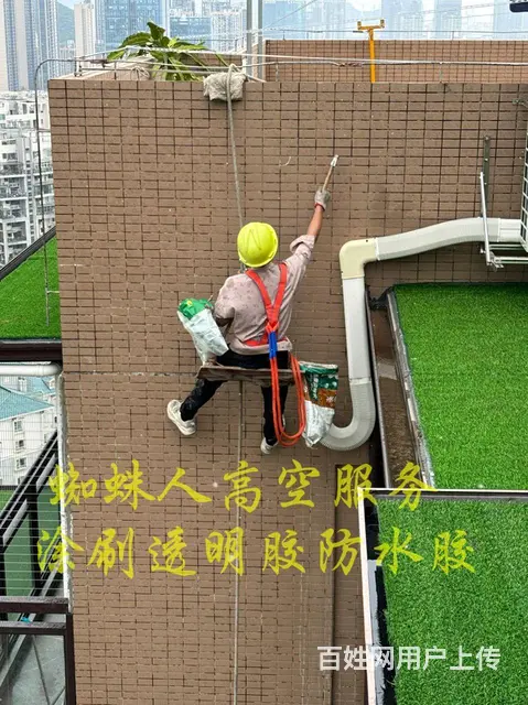 寻找一名女性 - 图片 1