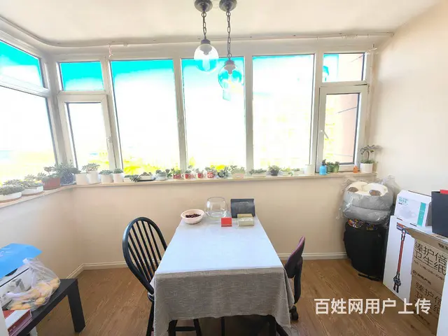 兴东小区 中华路11中 85平2室精装 9层采光好 - 图片 6