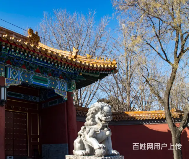 北京狮雕塑#石雕狮子#景观摆件 - 图片 3