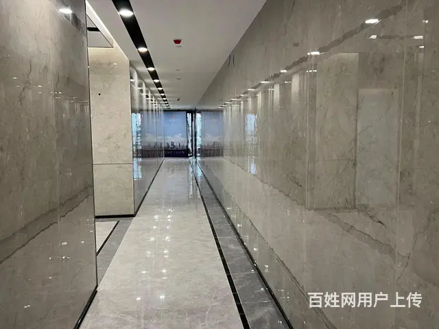 桃源时代大平层公馆330方豪装首付仅250万左右住宅式带阳台 - 图片 4