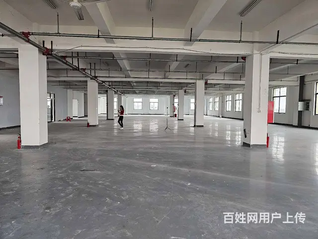 常昆全新厂房3600平，全新环氧地面，可分租，有消防喷淋。 - 图片 8