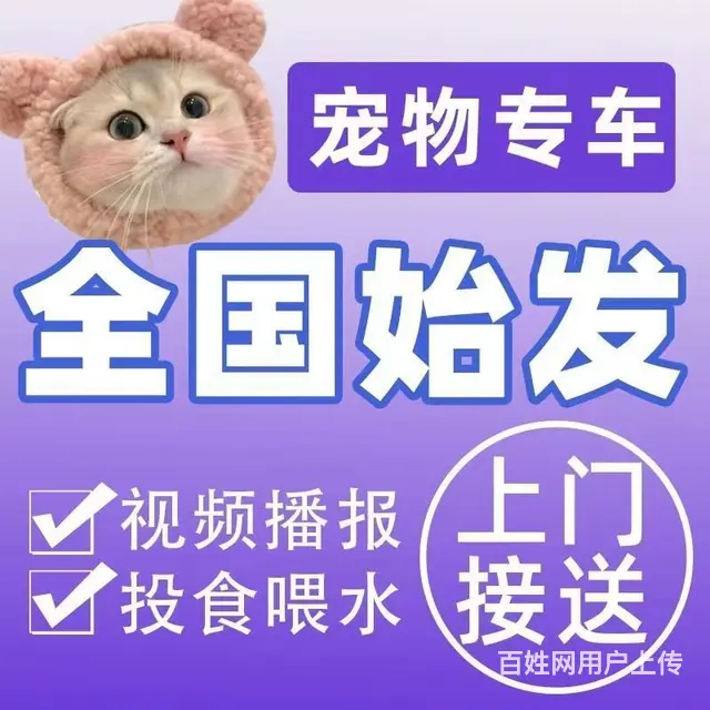 自贡富顺宠物托运 （猫狗活体运输）宠物快递至全国 - 图片 3