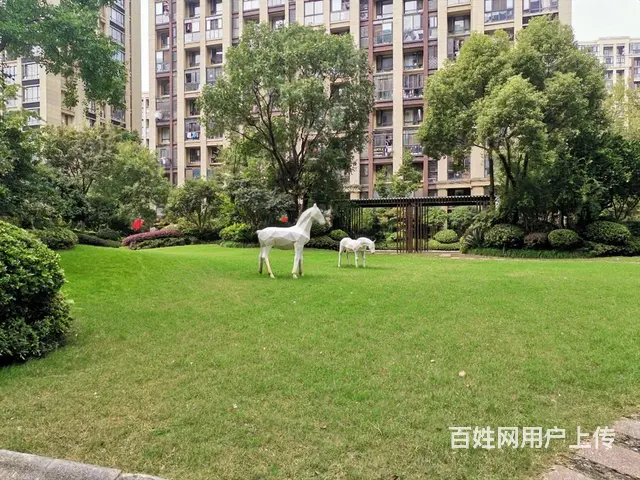 丁桥私房急售！精装修318.00万元龙湖名景台(公寓住宅)多 - 图片 10