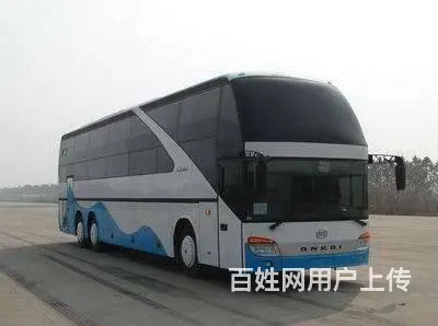 常州到洛宁的长途客车 宠物托运 - 图片
