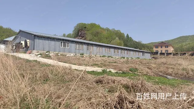 阿城黄榆沟养殖场出售 - 图片 5