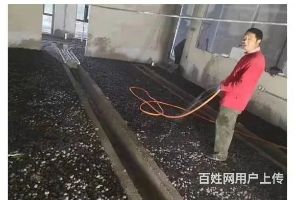 石家庄陶粒 优质建筑陶粒 园林绿化陶粒 文化石加工 - 图片 5