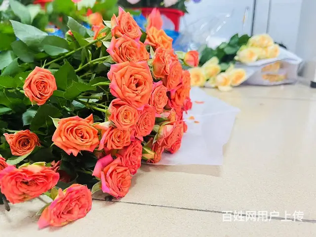 苏州学完可以领补贴的课程有哪些 - 图片 3
