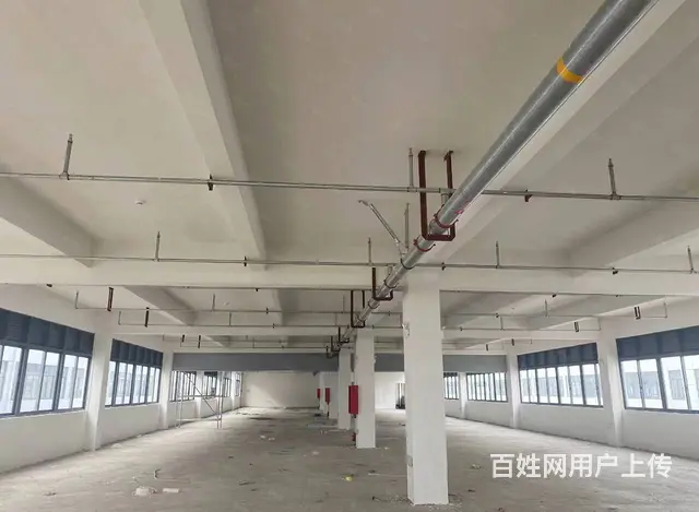 （百强企业），私人定制园区厂房，面积自由组合，价格可面议 - 图片 3