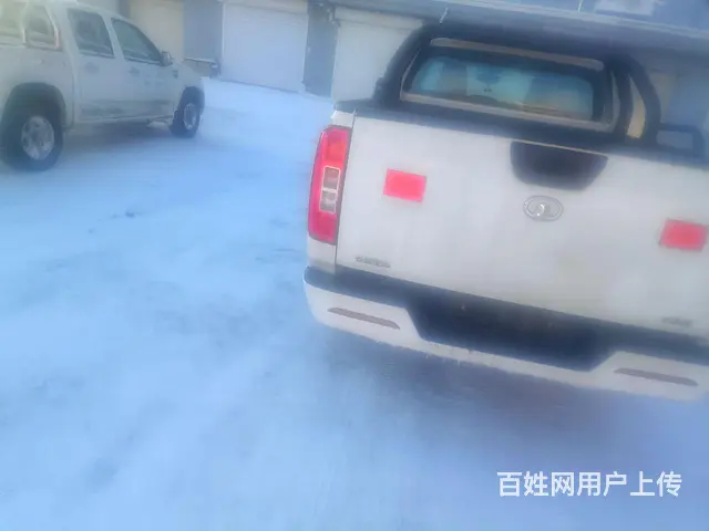 20年，长城炮柴油四驱定制款 - 图片 3