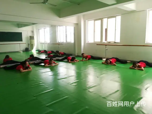 幼儿教师资格证培训 - 图片 5