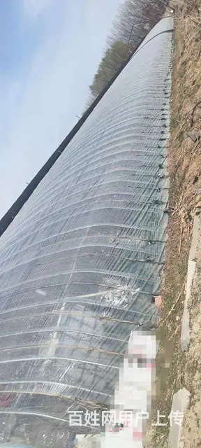 和平下河湾农家院温室大棚出租，带平房可住人做饭 - 图片 4