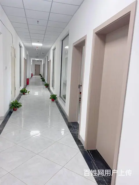 （老板本人）望城区金桥国际高铁西附近商铺/写字楼招租6015 - 图片 5