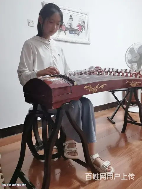 招收古筝学员 - 图片 9