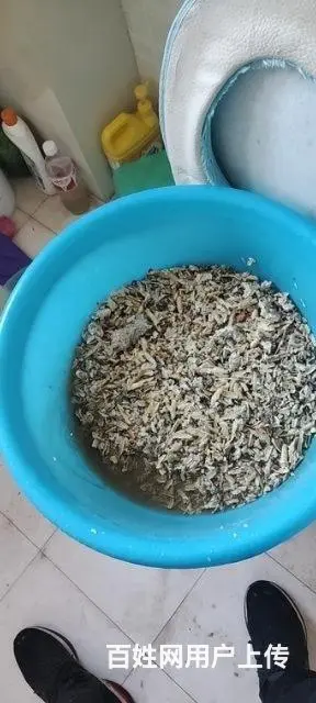 保洁，清洗热水器，油烟机，洗衣机，冰箱空调等 - 图片 6