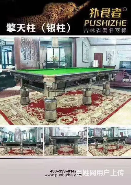 保定顺平县台球桌维修，拆装 - 图片 9